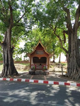 IMG_20190610_104053_chiangmai2024