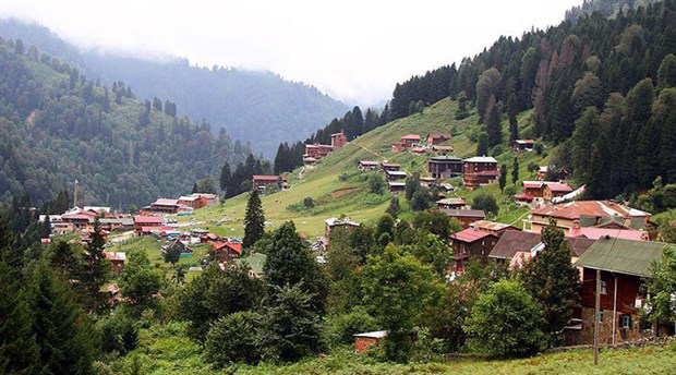 Ayder Yaylasi
