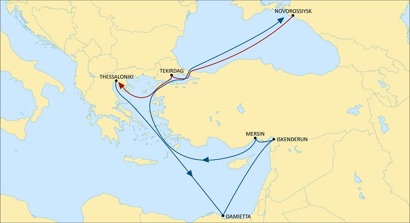MSC rota