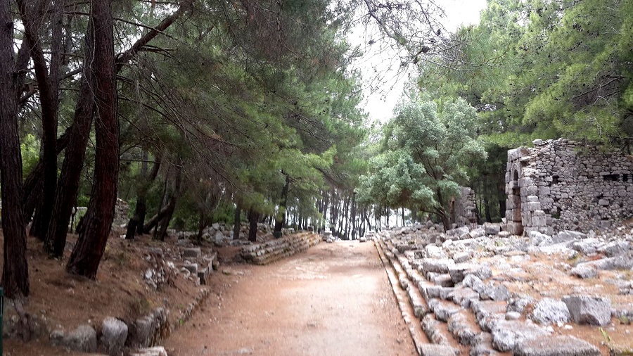 müze örenyeri