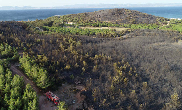 Ayvalık yangın