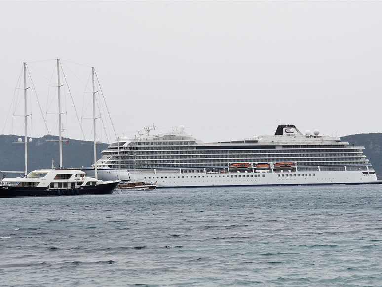viking orion