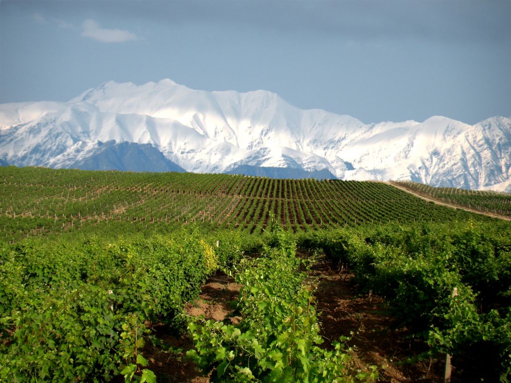 Azerbaycan Şarap Turizmi