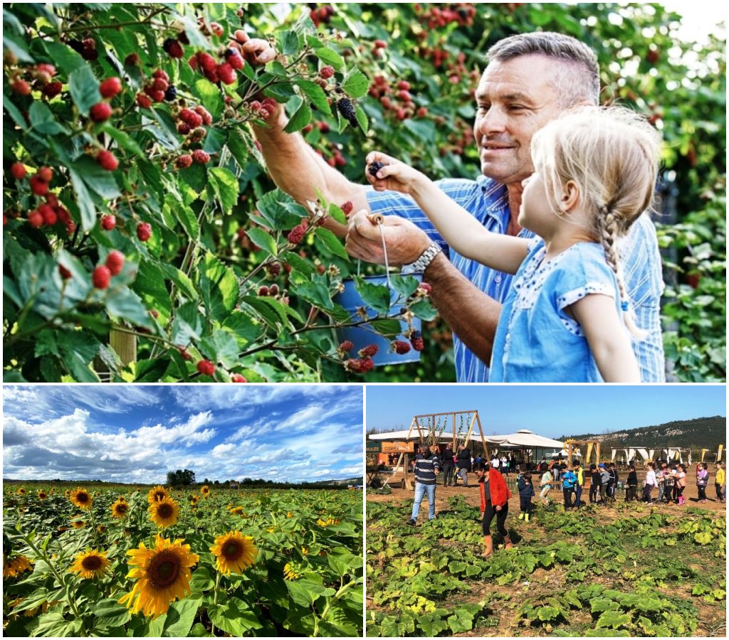 tarım agro turizm