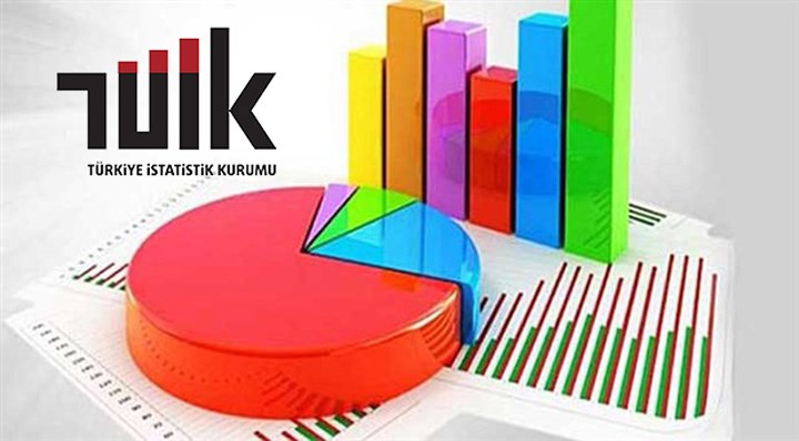 tuik stats