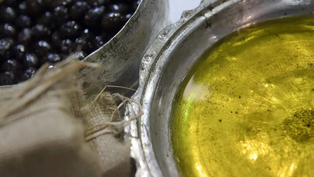 Siyah zeytin ve zeytinyağı